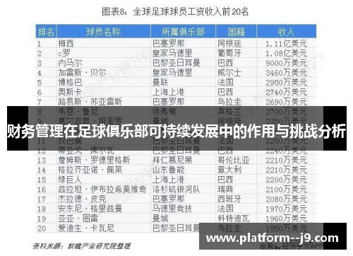 财务管理在足球俱乐部可持续发展中的作用与挑战分析