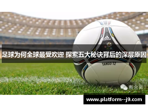 足球为何全球最受欢迎 探索五大秘诀背后的深层原因