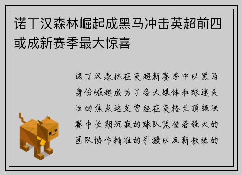 诺丁汉森林崛起成黑马冲击英超前四或成新赛季最大惊喜